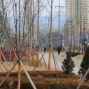 춘천시청(춘천시 환경공원) 이미지