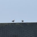 우리자리 이미지