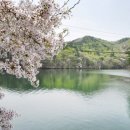 마치블루풀빌라 이미지