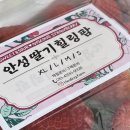 용내길 이미지