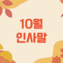 삼일행정사 이미지