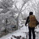 [백두대간]성삼재-천왕봉