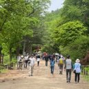 서울대 관악수목원 이미지