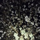 퇴미2공원1 이미지