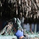 명태덕장 이미지