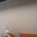 보보스테이크아웃 이미지