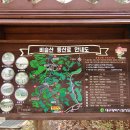 화창화원 이미지