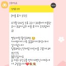 마리애견 | 대화동 애견미용실 킨텍스 애견미용실 덕이동애견미용실 메리마리 미용후기