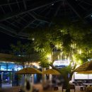 라피에스타 이미지