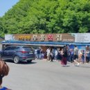 부흥횟집 이미지