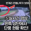 가을 PC | 원주 반계리 은행나무 공사 끝! 관람여부 및 CCTV 절정 시기 확인하는 법 알려드릴게요