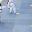 연세정도태권도장 이미지