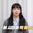 펫메이트(주) 이미지