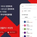 개미플러스