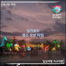 정보없음 | 센토사섬 싱가포르 윙스 오브 타임 프리미엄석 솔직후기 (티켓 할인 정보 &amp; 내용 스포 없음)