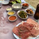 금남멧돼지 티스토리