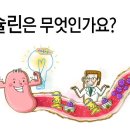 원잇핏 이미지