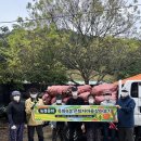 시골살이마을 | 마을 살아보기 #004, 마을청소를 해볼까, 시골살이...미리 살아보기, 전원생활, 한달살기 추천 후기 리뷰