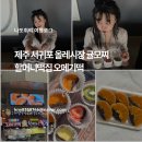 귤담집 | 제주 귤모찌 원조 서귀포 올레시장 할머니떡집 가격, 택배, 보관 꿀팁