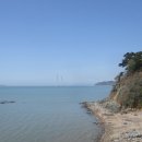안산-대부-대부-4 Daum카페