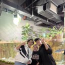 도담도담과 함께 한 대전엑스포아쿠아리움 체험 이미지