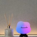 선물하기 딱 좋은 디퓨져 패키지 제작 | 꽃집향기 가득한 인테리어｜살림백서 라이스앤허브 화이트머스크 디퓨저로 완성하기