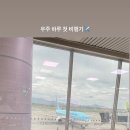 댕고카 이미지