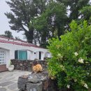 소랑소랑 인제주 이미지