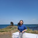 소시오도넛 | 제주도 여행(모알보알 카페, 돈사돈, 월정리 소시오 도넛, 김녕 미로공원)