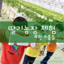 형제농장1호 이미지