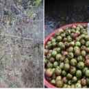 효재농장 이미지