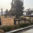 미래상사 | [파주 아이와 가볼만한곳] 주말에 뭐 하지? 공짜로 공룡 보고 쇼핑까지! 롯데아울렛 '파주라기파크...