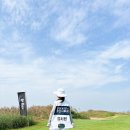 도룡365약국 이미지