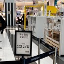 하남 스타필드 2월 팝업스토어 (이케아, 토미카) / 볼거리(크록스 지비츠, 젠틀몬스터, 애플 비전프로...