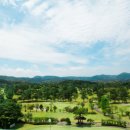 그린힐 골프연습장 이미지