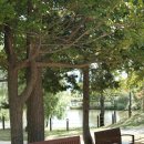 늘솔길공원양떼목장 이미지