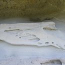 금산1리 이미지