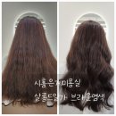 살롱드일가 | 시흥은계미용실추천_ 살롱드일가 전체염색 #내돈내산후기