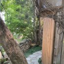 소여 민박 이미지