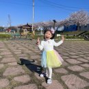 드래곤 소프트 | 핑크드래곤샤스커트 110사이즈 멀티컬러 슈슈원피스