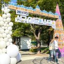 2025 대전 서구 아트페스티벌 | 2024 대전서구아트페스티벌 후기 10월 대전 축제