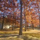 인문학의 길에서 여성을 만나다 | 상처와 치유, 루이스 부르주아 전시에서 나를 만나다