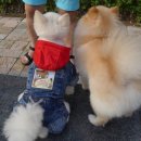 미미하우스 이미지