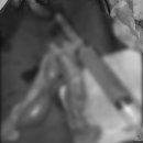 대천동물병원 이미지