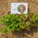 양수농장 이미지