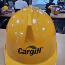 (주)카길애그리퓨리나 | 차축아 자소서 및 면접 후기