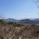 절골산(331m) 운남산(383m) 노고봉(364m) 비봉산(봉화산 343m)/경북김천 이미지