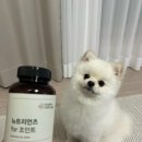 벌크커피화순점