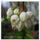 첨성대스파랜드 이미지