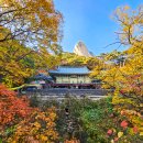 금선에너지 | 자연이 만든 가을 명품 국립공원길 7선